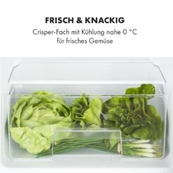 Big Daddy Cool Kühl-Gefrierkombination 61/25 Liter 2 Ebenen Edelstahl -Haushaltsgeräte Geschäft 10034005 de 0005 logo