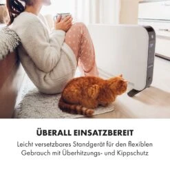 Baltrum Elektroheizung Konvektor 2000 W Standgerät -Haushaltsgeräte Geschäft 10035033 de 0006 logo