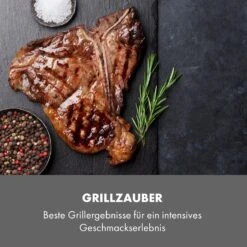 Steakreaktor Core Indoor Grillgerät Hochtemperaturgrill 2100W 800°C -Haushaltsgeräte Geschäft 10035085 de 0007 logo