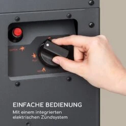 Flagranti Crystal View Gasheizstrahler 8kW Edelstahl -Haushaltsgeräte Geschäft 10035094 de 0004 logo