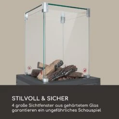 Flagranti Crystal View Gasheizstrahler 8kW Edelstahl -Haushaltsgeräte Geschäft 10035094 de 0005 logo