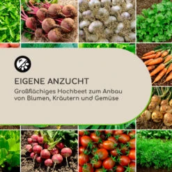 High Grow Straight Hochbeet 120x60x60cm 432l Stahl 13 High Grow Straight Hochbeet 120x60x60cm 432l Stahl -Haushaltsgeräte Geschäft 10035350 de 0004 logo