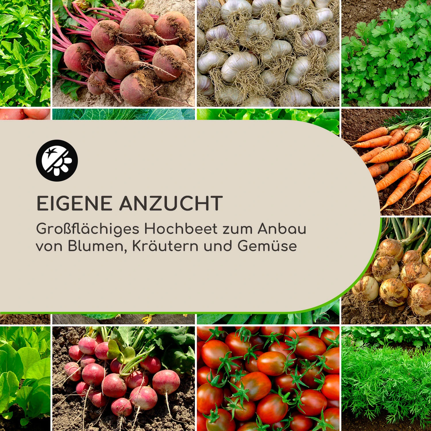 High Grow Straight Hochbeet 120x60x60cm 432l Stahl 6 High Grow Straight Hochbeet 120x60x60cm 432l Stahl – Bild 4