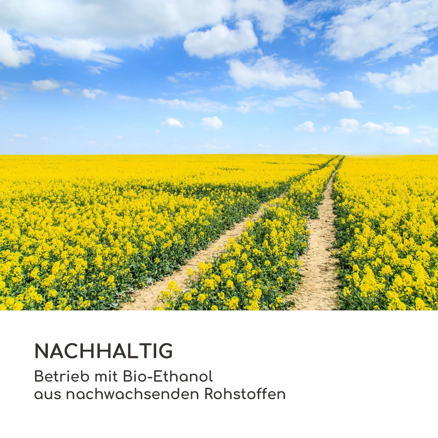 Fiamme Triangolo Ethanol-Laterne 2-Set Edelstahl-Brenner 0,3 Liter 4h Brenndauer 10 Fiamme Triangolo Ethanol-Laterne 2-Set Edelstahl-Brenner 0,3 Liter 4h Brenndauer – Bild 8