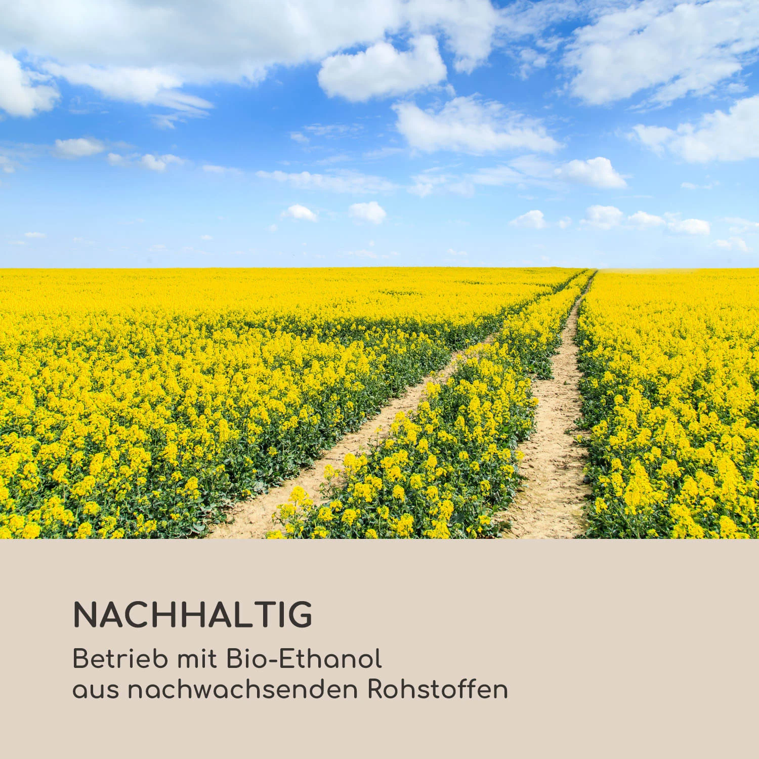 Fiamme Cilindro Ethanol-Laterne 2-Set Edelstahl-Brenner 0,3 Liter 4 H Brenndauer 10 Fiamme Cilindro Ethanol-Laterne 2-Set Edelstahl-Brenner 0,3 Liter 4 H Brenndauer – Bild 8