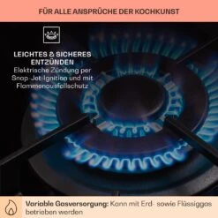 Alchemist Gaskochfeld 1 Wokbrenner Glaskeramik -Haushaltsgeräte Geschäft 10036335 de 0005 usp