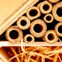 Bambusröhrchen 70 Stück Je 10 Cm Länge Holzfarben -Haushaltsgeräte Geschäft 10038136 yy 0006 logo