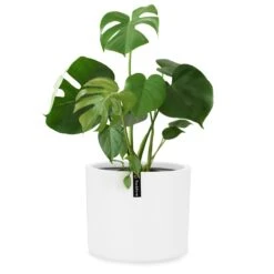 Pflanztopf Übertopf Faserstein In/Outdoor