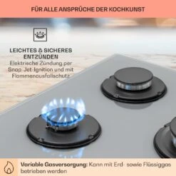 Firetale Gaskochfeld 5-flammig 70 Cm Aluminium-Brenner Inkl. Schlauch Und Druckminderer -Haushaltsgeräte Geschäft 10041303 de 0005 usp
